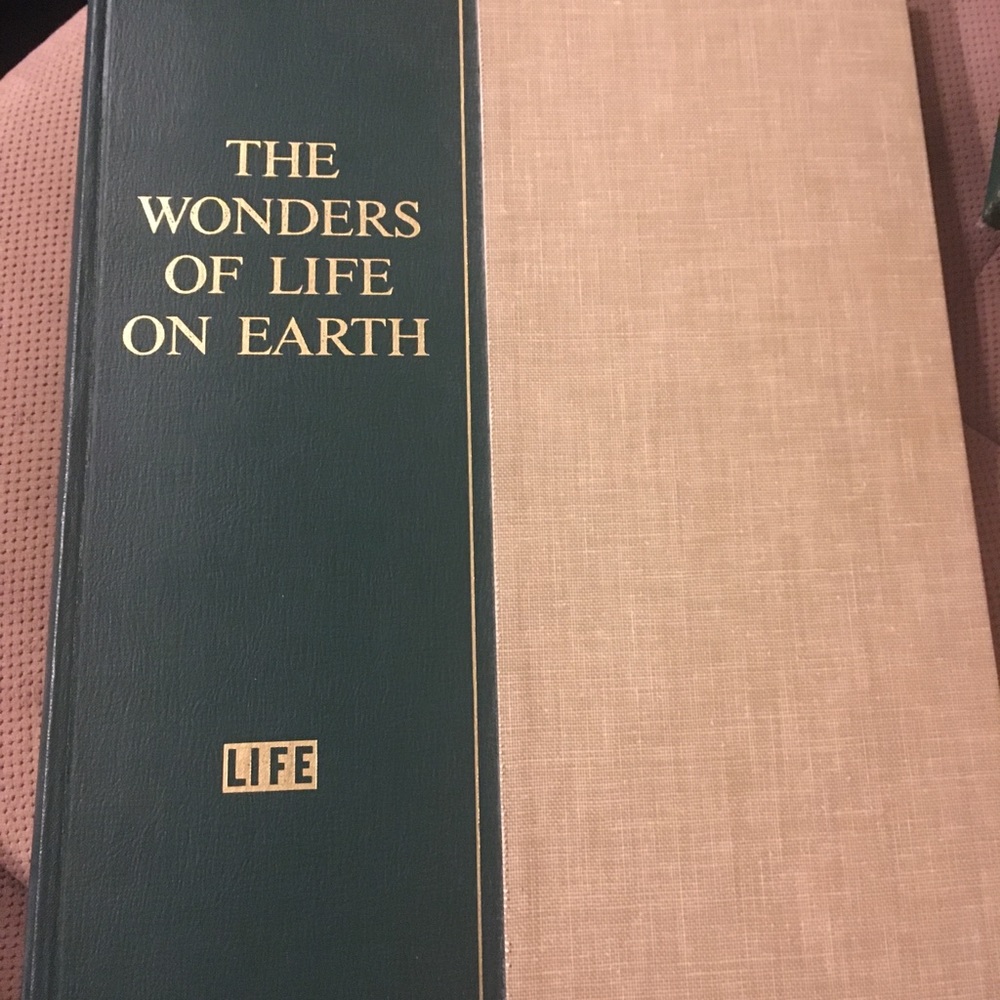 The wonders of life by LIFE